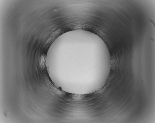 X0000099570142200806131304