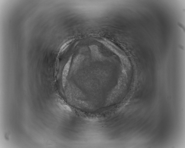 X0000099570144200806131304
