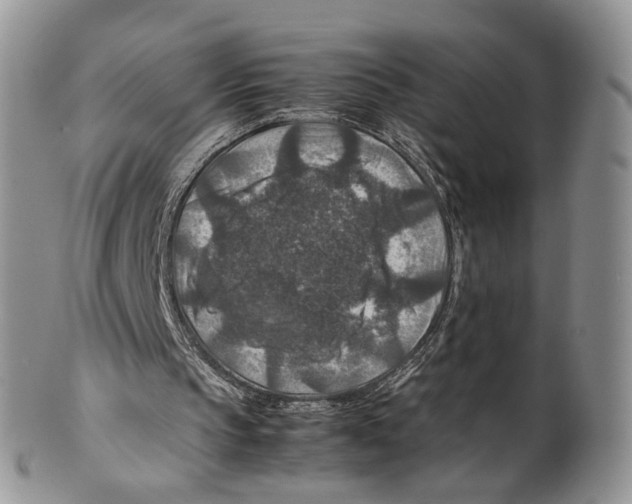 X0000099570145200806131304