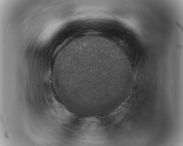X0000099570146200806131304