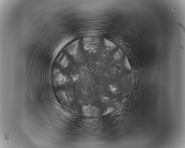 X0000099570147200806131304