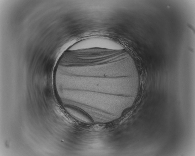 X0000099570148200806131304