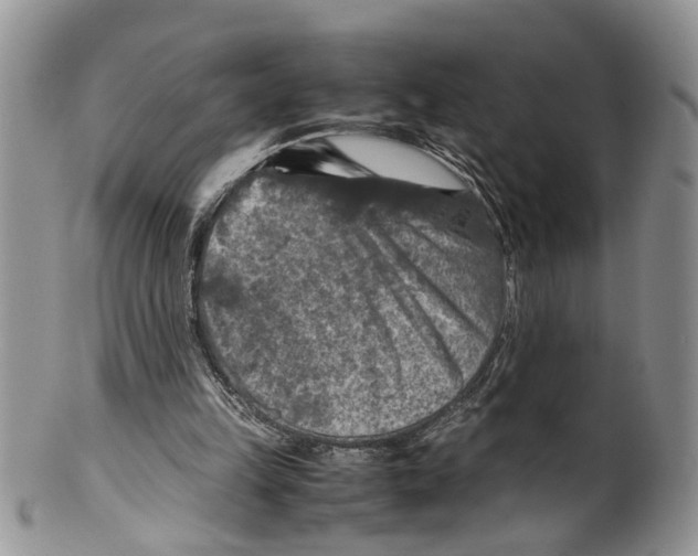 X0000099570149200806131304