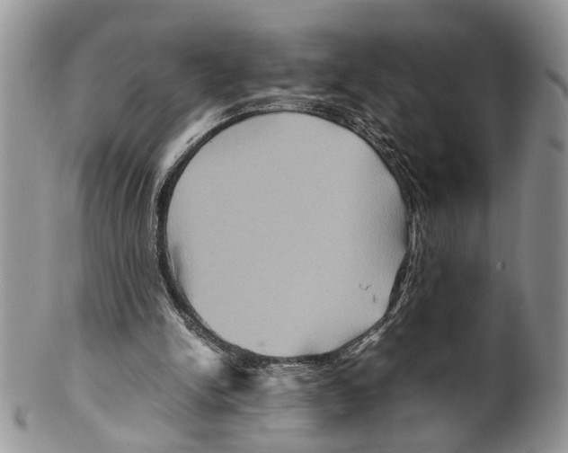 X0000099570150200806131304