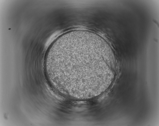 X0000099570151200806131304