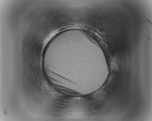X0000099570152200806131304