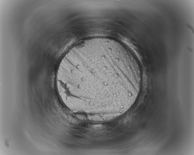 X0000099570153200806131304