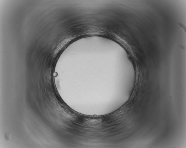 X0000099570155200806131304