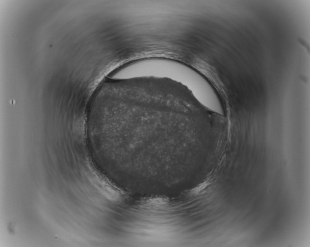 X0000099570156200806131304