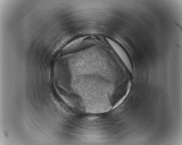 X0000099570158200806131304