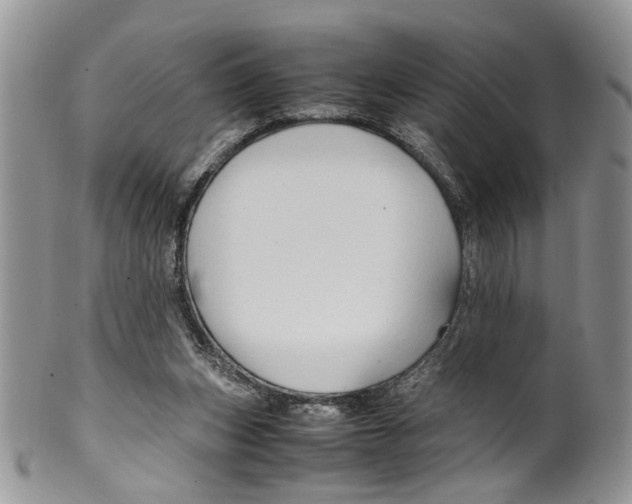 X0000099570159200806131304
