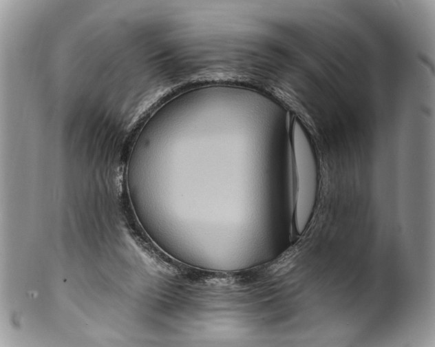 X0000099570160200806131304