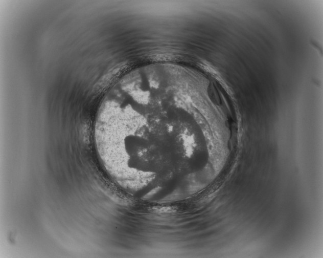 X0000099570161200806131304
