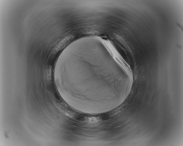 X0000099570163200806131304