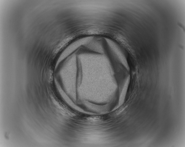 X0000099570164200806131304