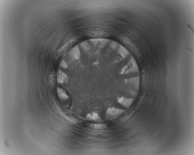 X0000099570165200806131304