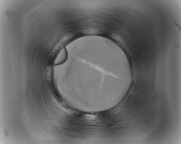 X0000099570167200806131304