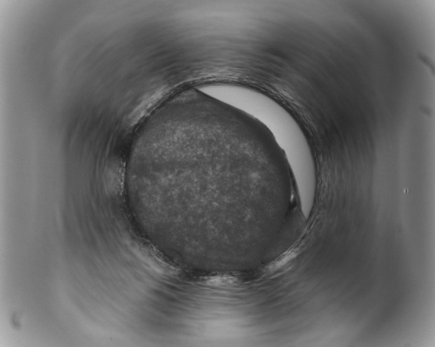 X0000099570168200806131304
