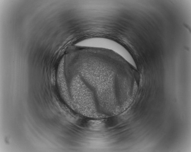 X0000099570170200806131304