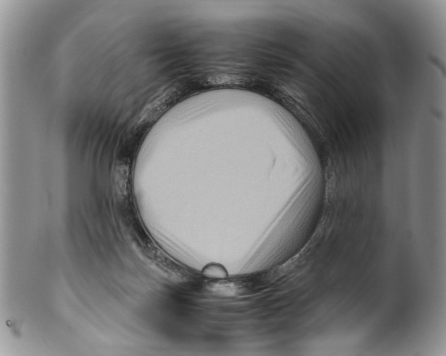 X0000099570171200806131304