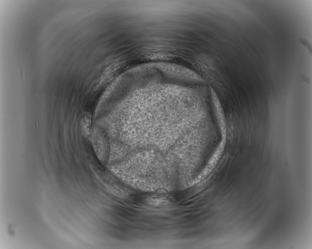 X0000099570175200806131304