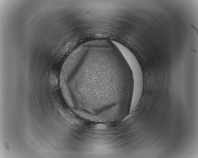 X0000099570176200806131304