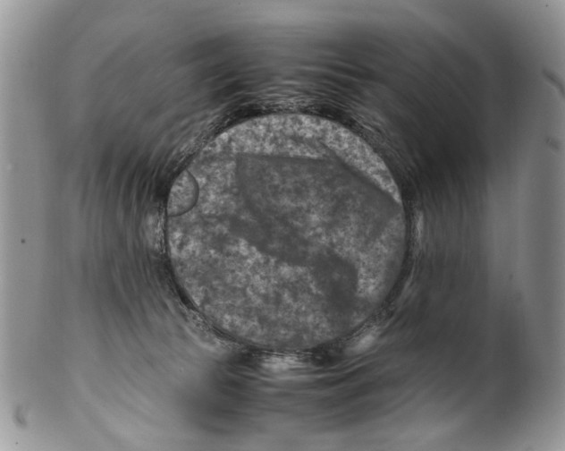 X0000099570177200806131304