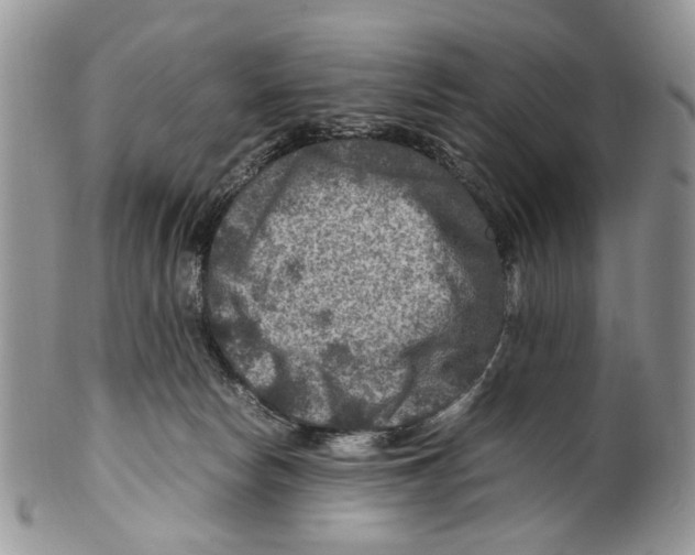 X0000099570178200806131304