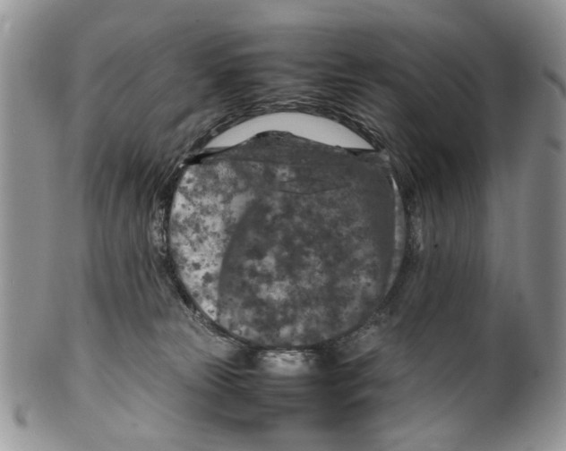 X0000099570181200806131304