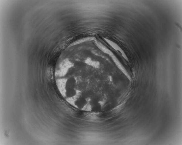 X0000099570182200806131304