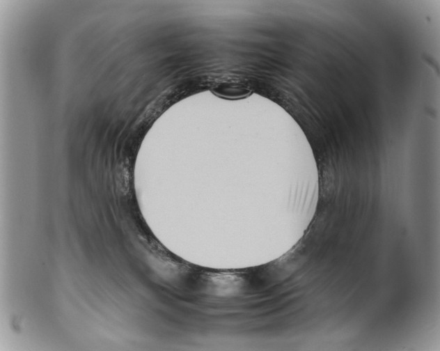 X0000099570183200806131304