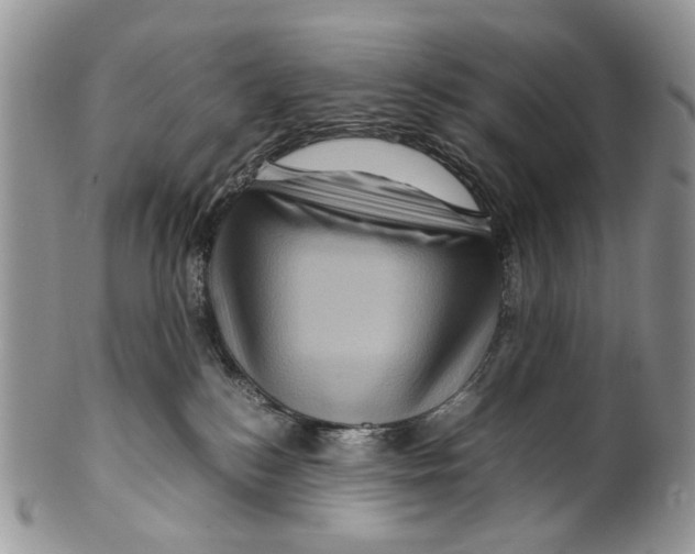 X0000099570184200806131304