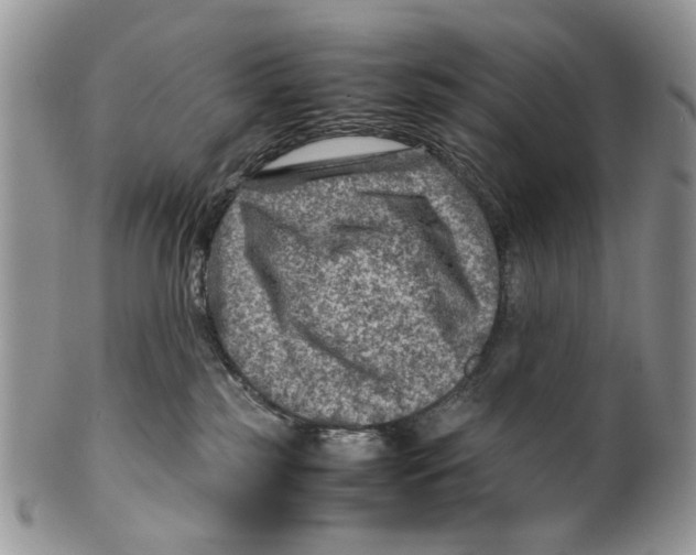 X0000099570185200806131304