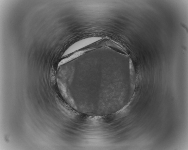 X0000099570186200806131304