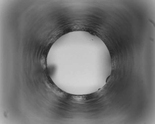 X0000099570187200806131304