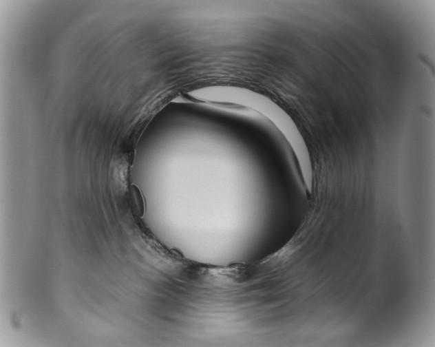 X0000099570188200806131304