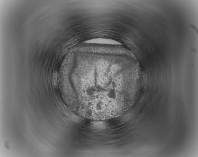 X0000099570189200806131304
