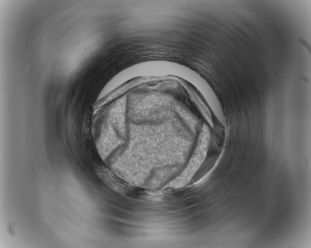 X0000099570190200806131304