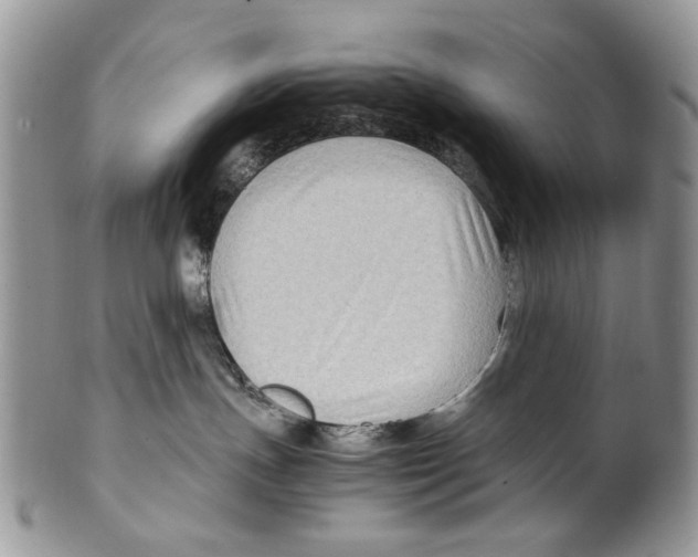 X0000099570191200806131304