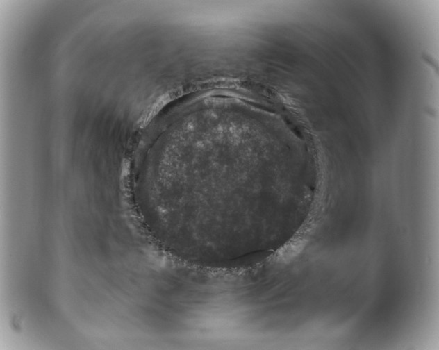 X0000099570192200806131304