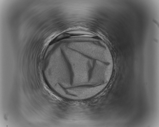 X0000099570193200806131304