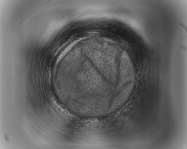 X0000099570194200806131304