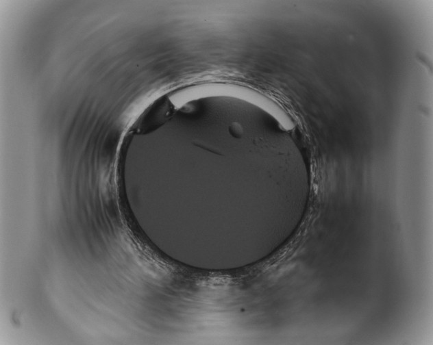 X0000099570196200806131303