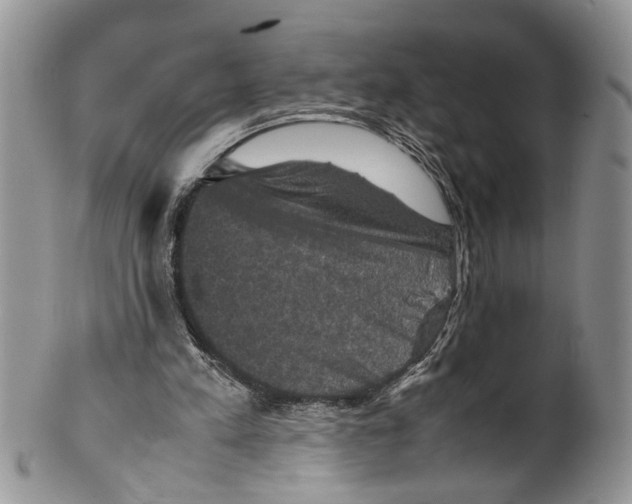 X0000099570197200806131303