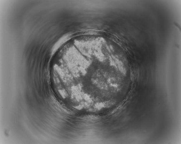 X0000099570198200806131303
