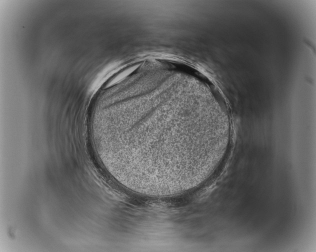 X0000099570199200806131303