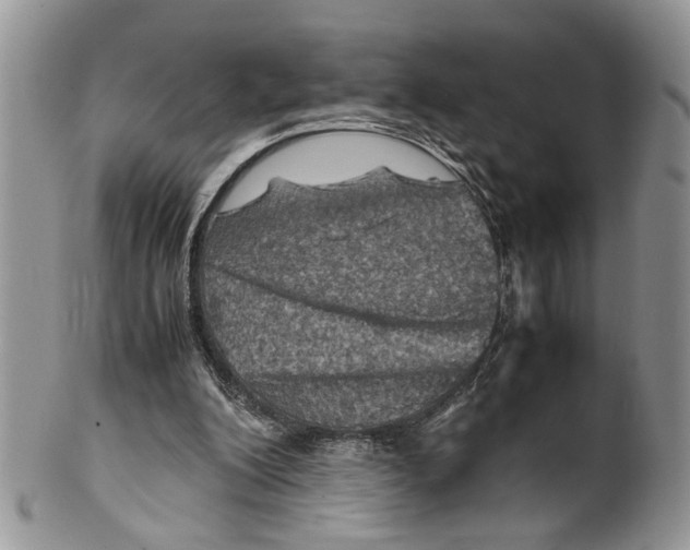 X0000099570200200806131303