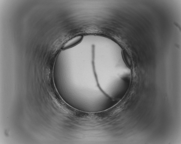 X0000099570201200806131303