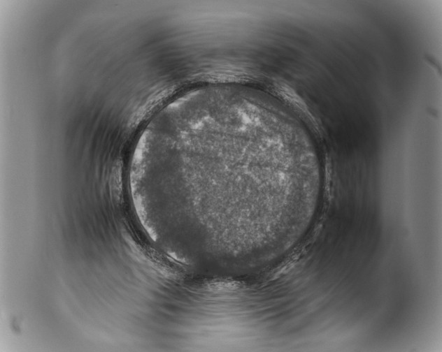 X0000099570202200806131303