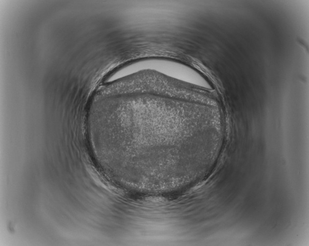 X0000099570203200806131303